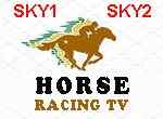 Horse Racing Tv Free Stream